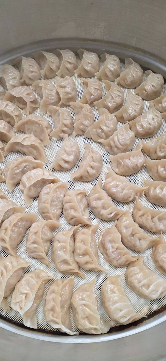 Fresh mandu